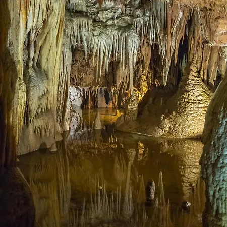 In - Istrien 10308 Проживання в сім'ї Пореч