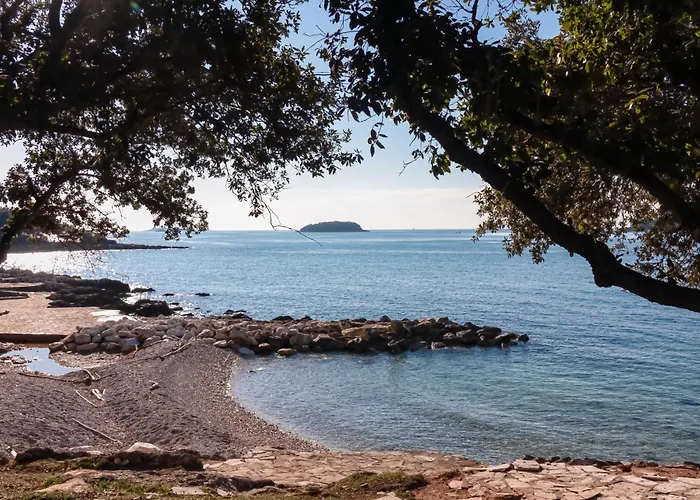 Accommodatie bij particulieren In - Istrien 10308 *