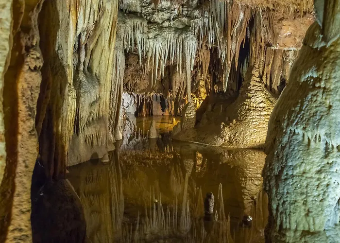 In - Istrien 10308 Privat bolig Poreč